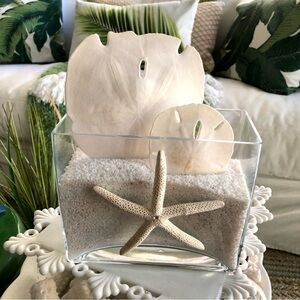NEW! Elegant White Sand Dollar Starfish Art